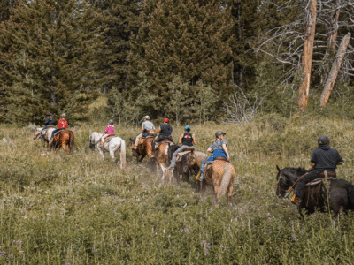 Heart Six Ranch Jackson Hole: Bridger-Teton National Forest Horseback Ride